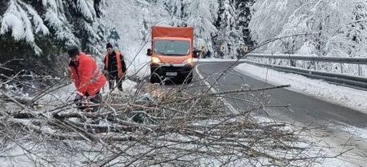 Circulați cu atenție! Arbori doborâți de vânt și zăpadă pe DN 18