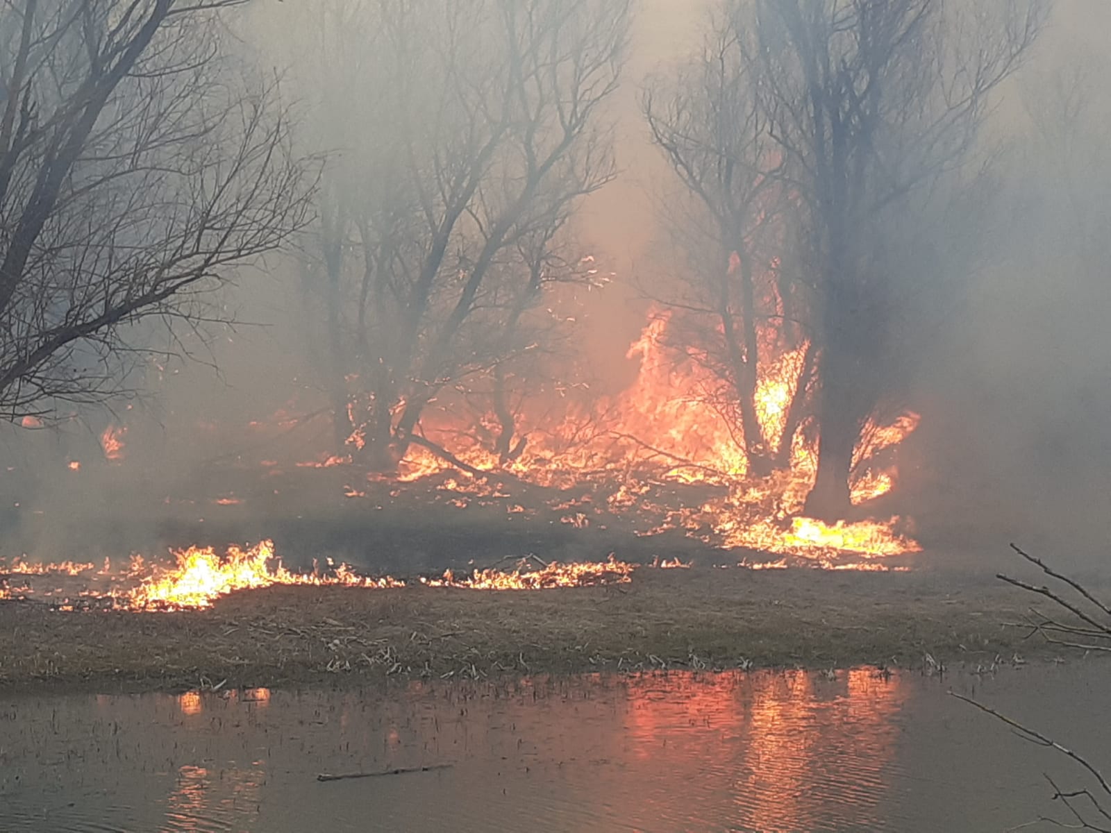 Sute de pompieri se luptă cu incendii de pădure în Franţa