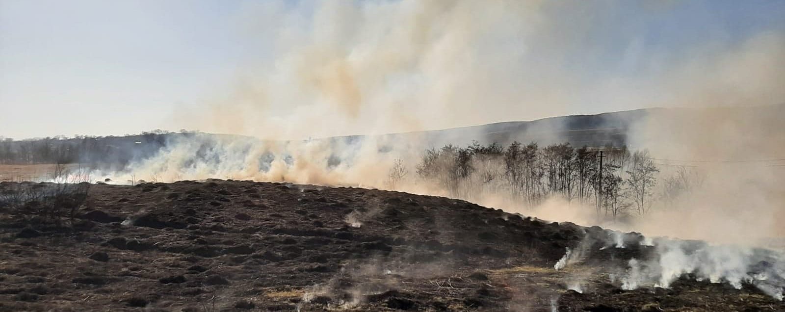 Incendierea vegetaţiei uscate este interzisă de lege