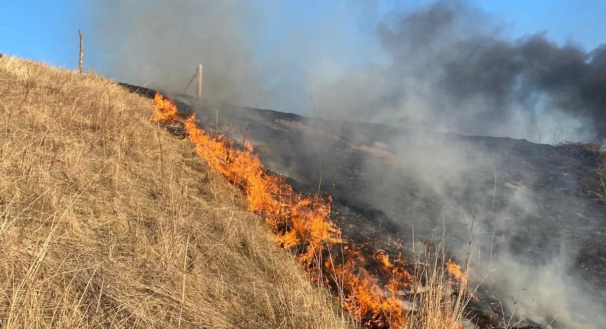 Pompierii au intervenit la mai multe incendii de vegetaţie din judeţul Vaslui