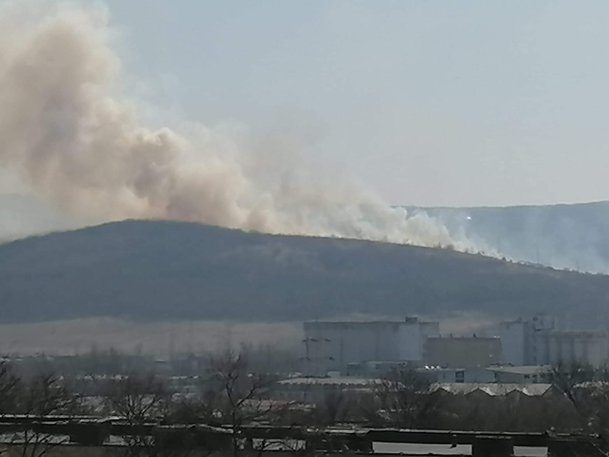 (FOTO) Incendiu puternic pe dealul Bucium, jud. Iași