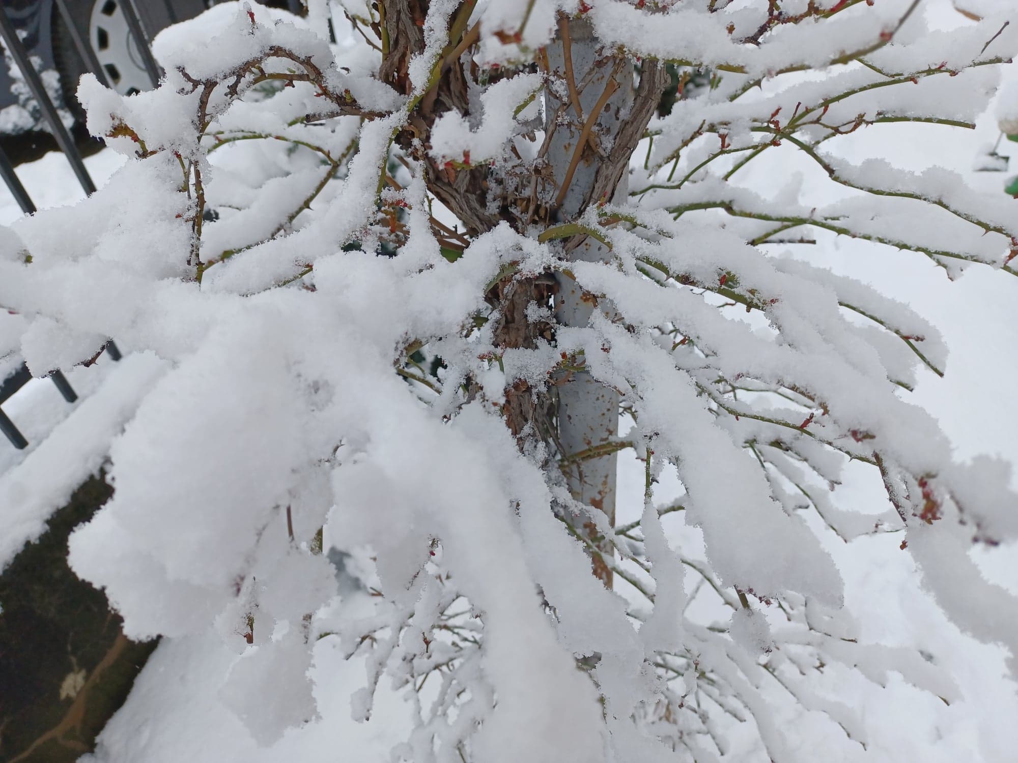 INFORMARE METEOROLOGICĂ de ninsori în Moldova