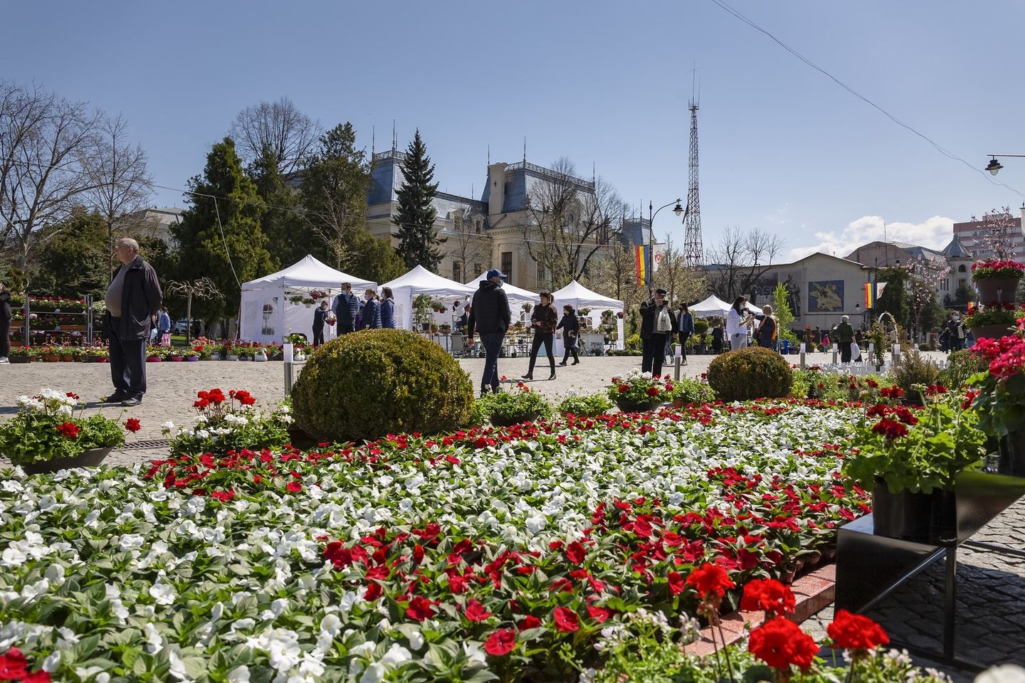 Sărbătoarea Florilor FloralIS revine la Iași în perioada 20 – 22 mai 2022