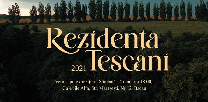 Noapte albă, colorată, la Galeriile „Alfa” ale Muzeului de Artă din Bacău – Expoziția Rezidenței Tescani 2021