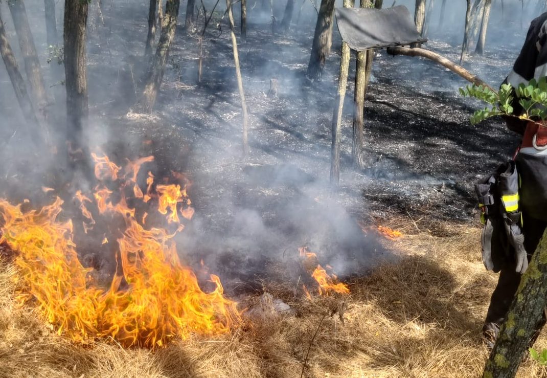 Vrancea: Incendiul de vegetație de la Sihlea a fost lichidat