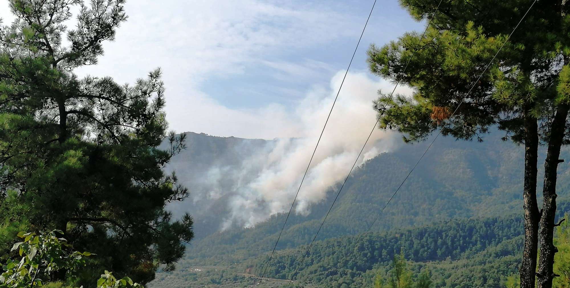 Incendii de vegetaţie continuă să ardă necontrolat în nord-estul Greciei