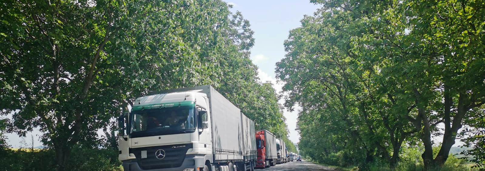 Miniştrii agriculturii din România şi Ucraina au o întâlnire la Bucureşti pe tema situaţiei cerealelor din ţara vecină