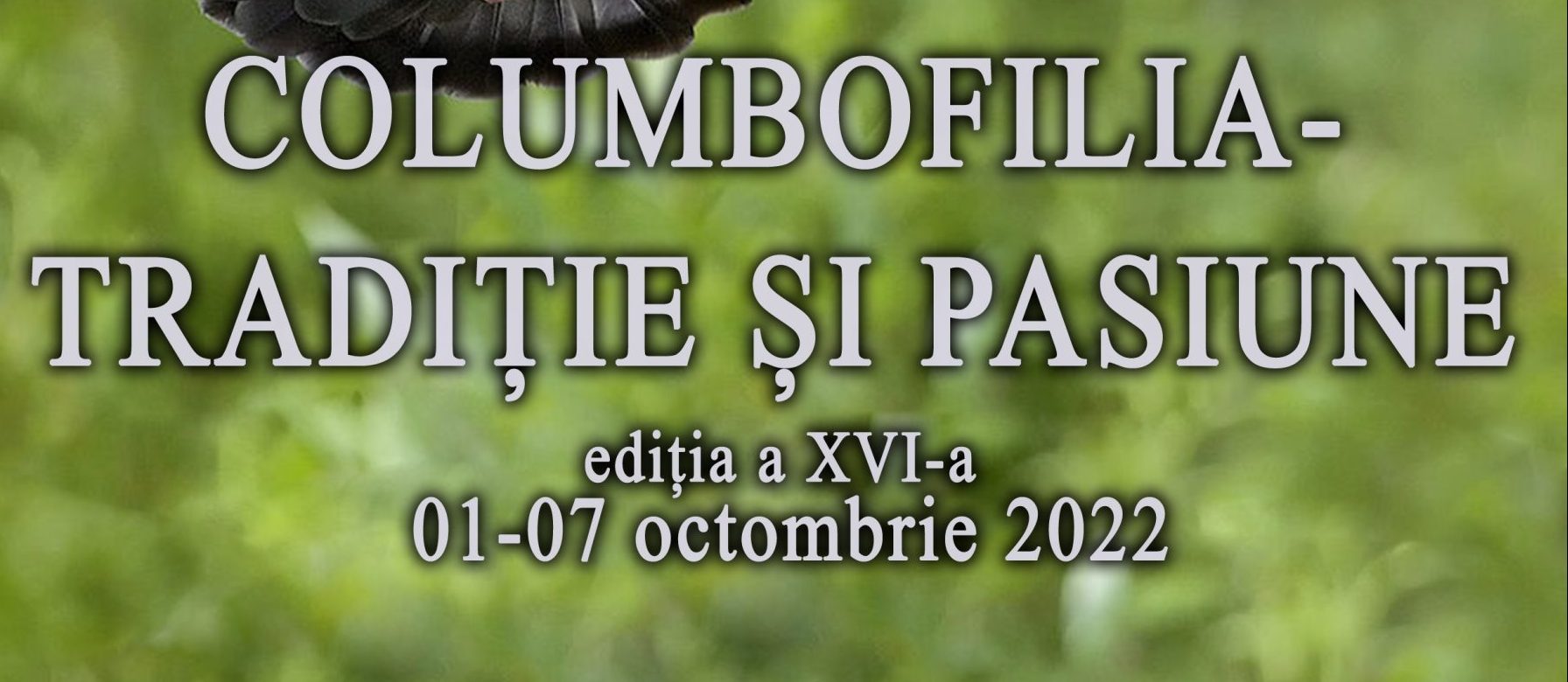 Muzeul de Științele Naturii Dorohoi: Expoziția temporară „Columbofilia – tradiție și pasiune”, ediția a XVI-a