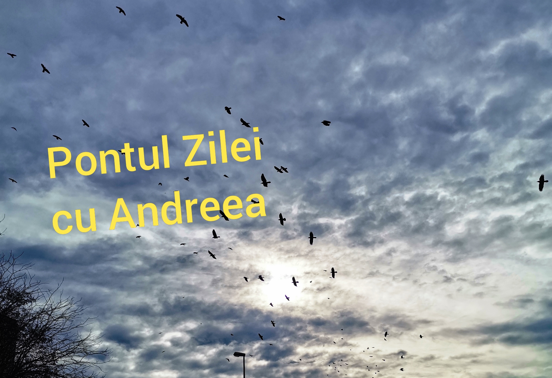 Pontul Zilei cu Andreea! ? Luni, 3 octombrie 2022