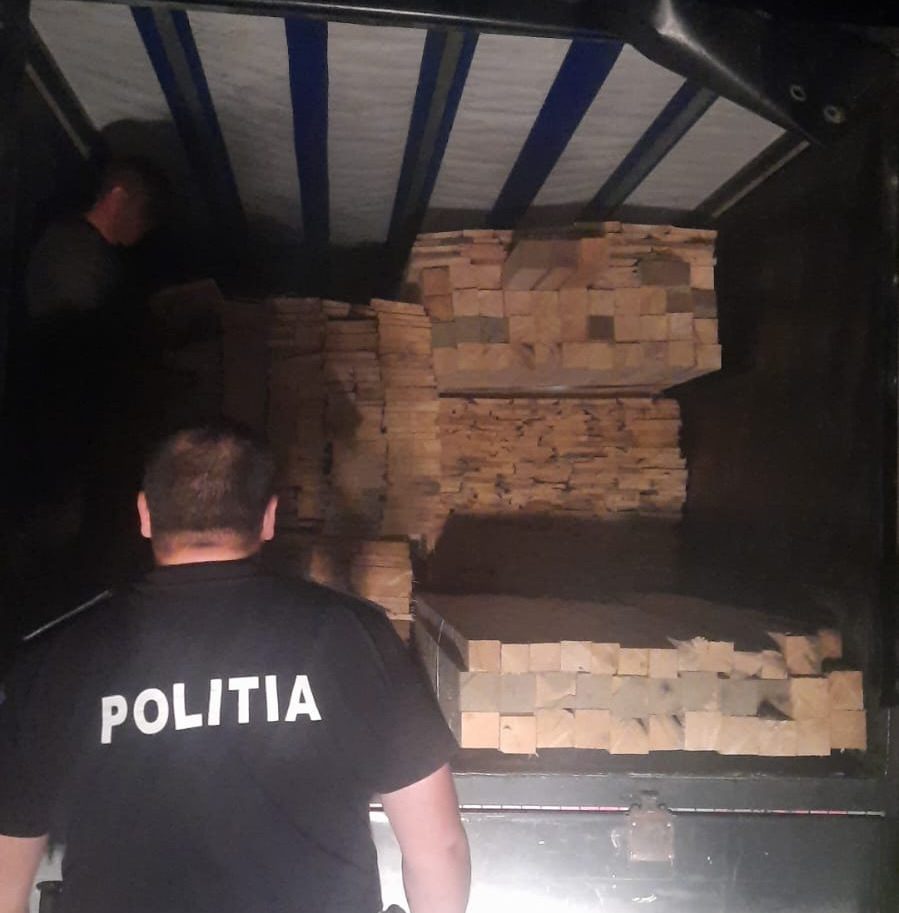 Vrancea: Transport de material lemnos fără provenienţă legală, depistat de poliţişti