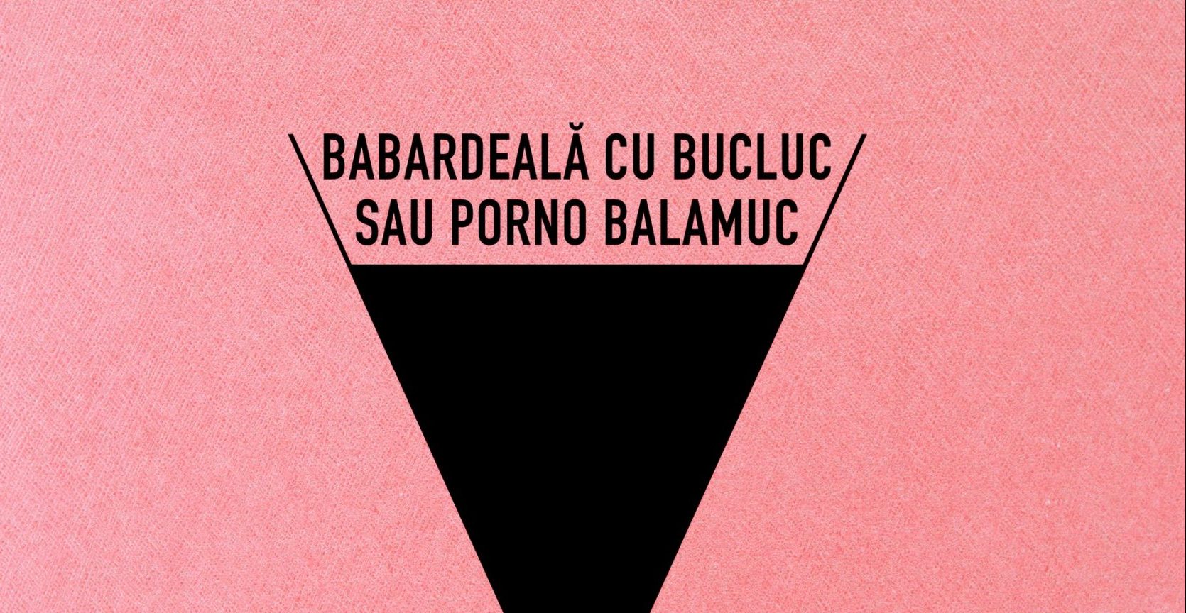 Trofeul UCIN a fost câştigat de filmul „Babardeală cu bucluc sau porno balamuc”, în regia lui Radu Jude