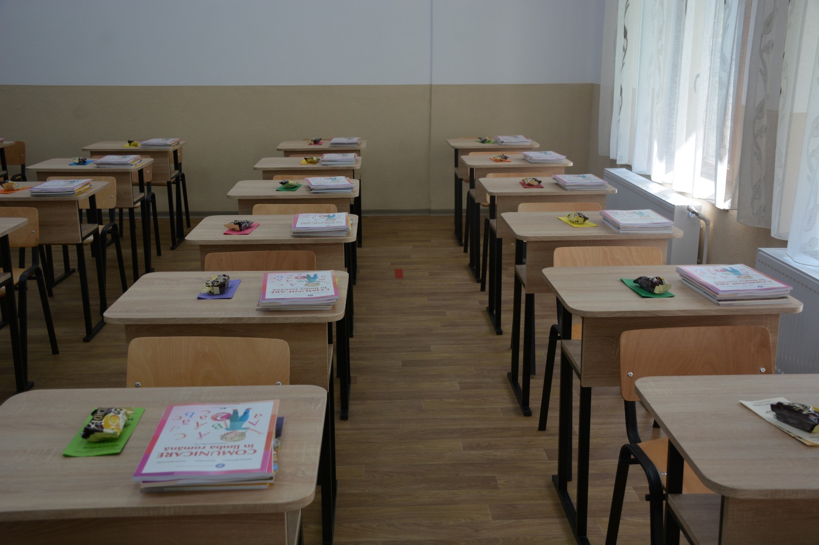 (UPDATE) Propunerea PNL pentru funcţia de ministru al educaţiei este consilierul prezidenţial Ligia Deca