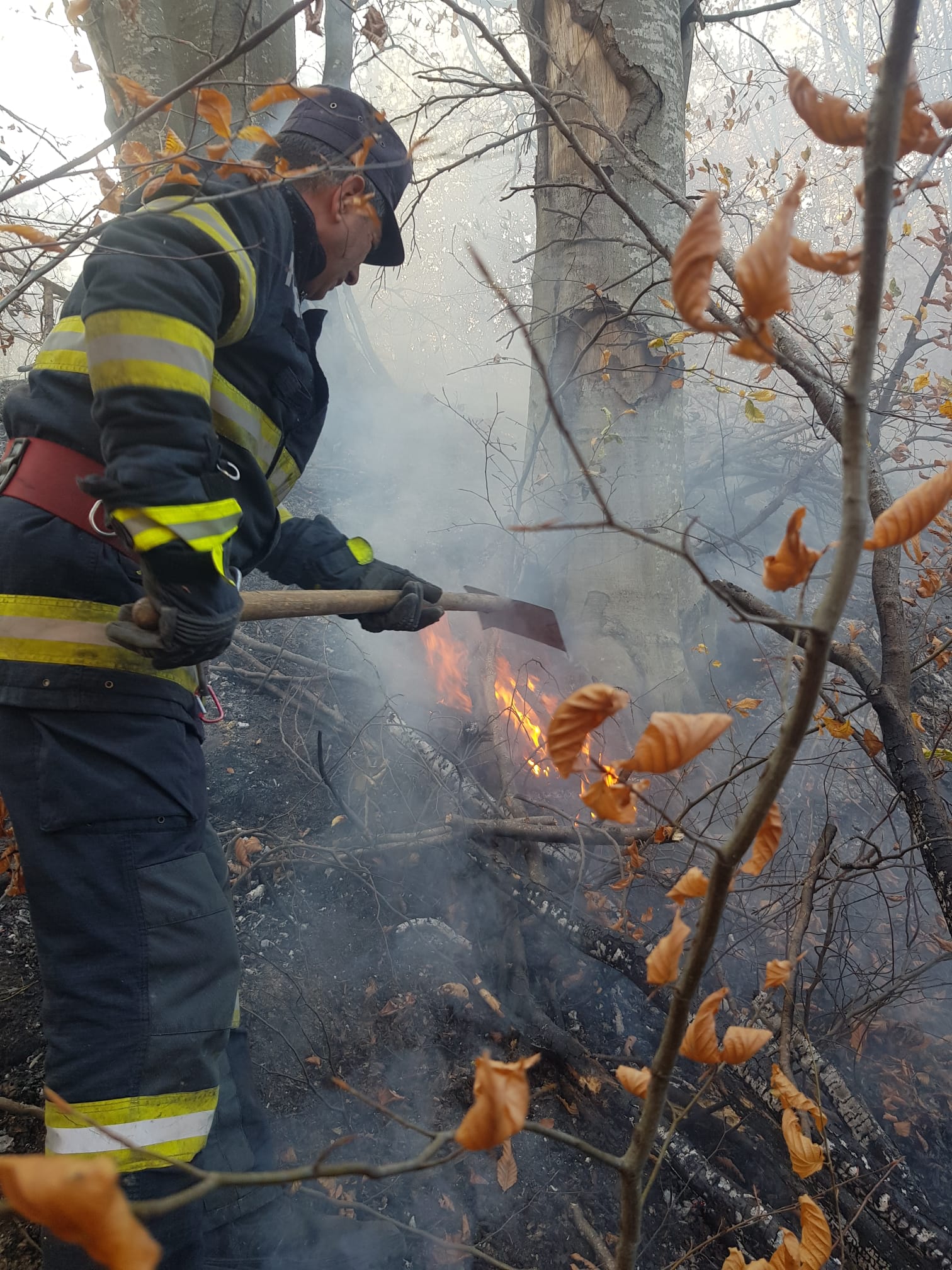 Vrancea: Aproximativ 50 de hectare de pădure au ars la Dumitreşti; 48 de pompieri mobilizaţi pentru stingerea incendiului