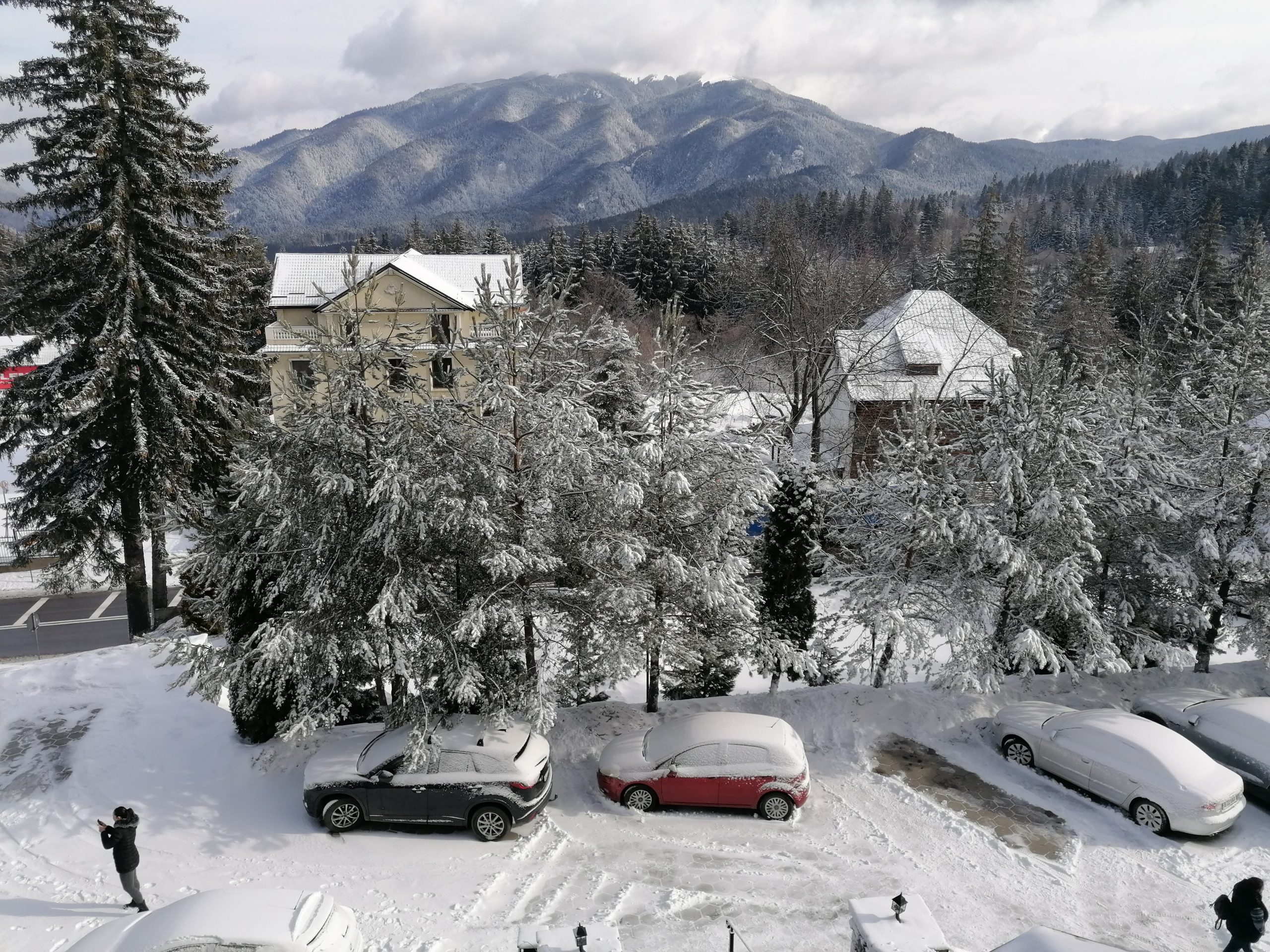 Ninge viscolit în mai multe zone din ţară