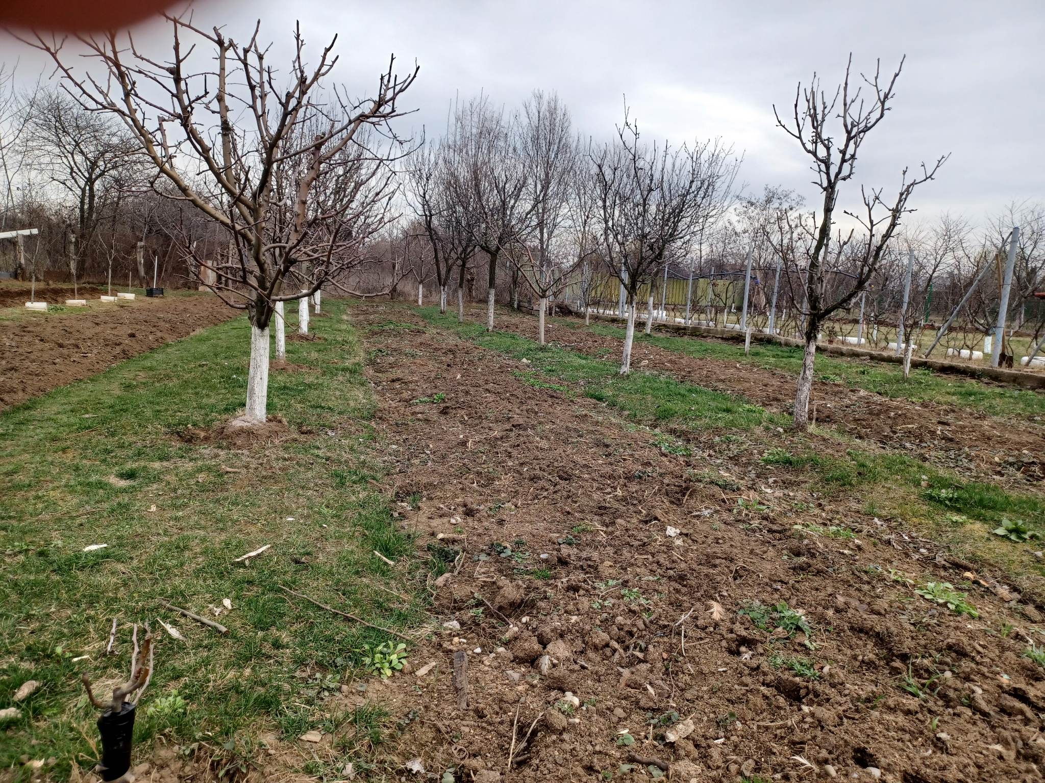 Fermierii care vând produse din producţia proprie vor fi obligaţi să se înregistreze la direcţiile sanitar-veterinare judeţene