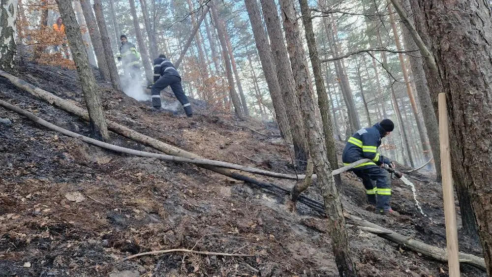 Pompierii din judeţul Bacău încearcă să lichideze un incendiu de la un ocol silvic din Oituz