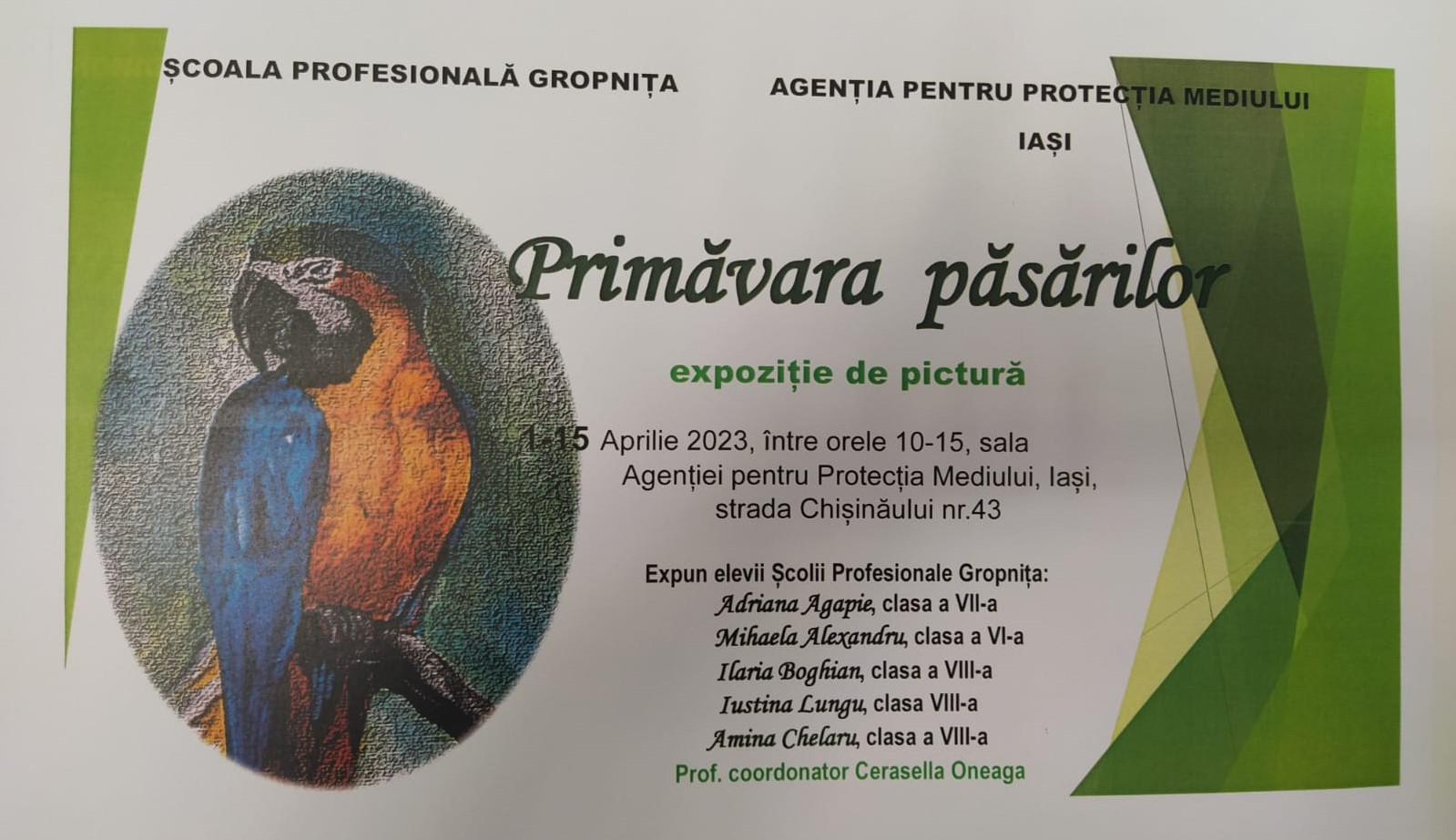 „Primăvara Păsărilor”: expoziție de pictură la Agenția pentru Protecția Mediului Iași dedicată Zilei Păsărilor, în perioada 1-15 aprilie 2023