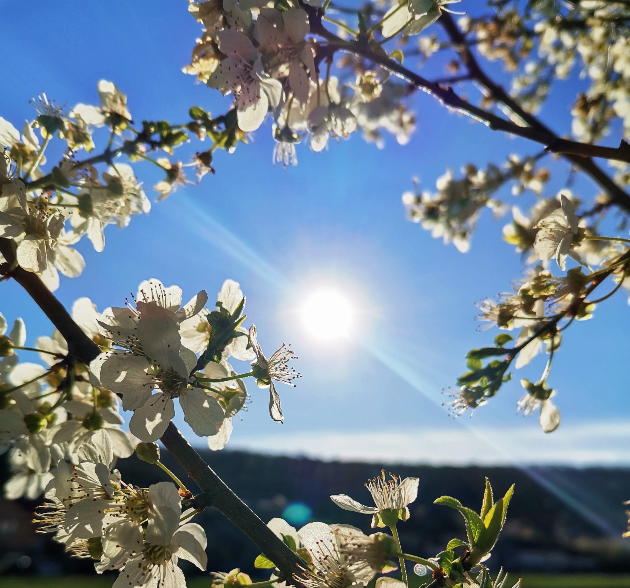 Meteo: Temperaturi variate în zilele de Paște