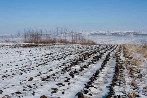 Erbiceni-zăpezile revigorează solul agricol. Ionel Lungu la „Pulsul Zilei”, cu Mihai Florin Pohoaţă – 7.04. 2023.