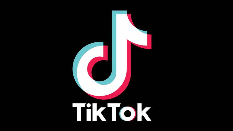 Reprezentanţii TikTok, audiaţi săptămâna viitoare în Parlamentul European în legătură cu alegerile din România