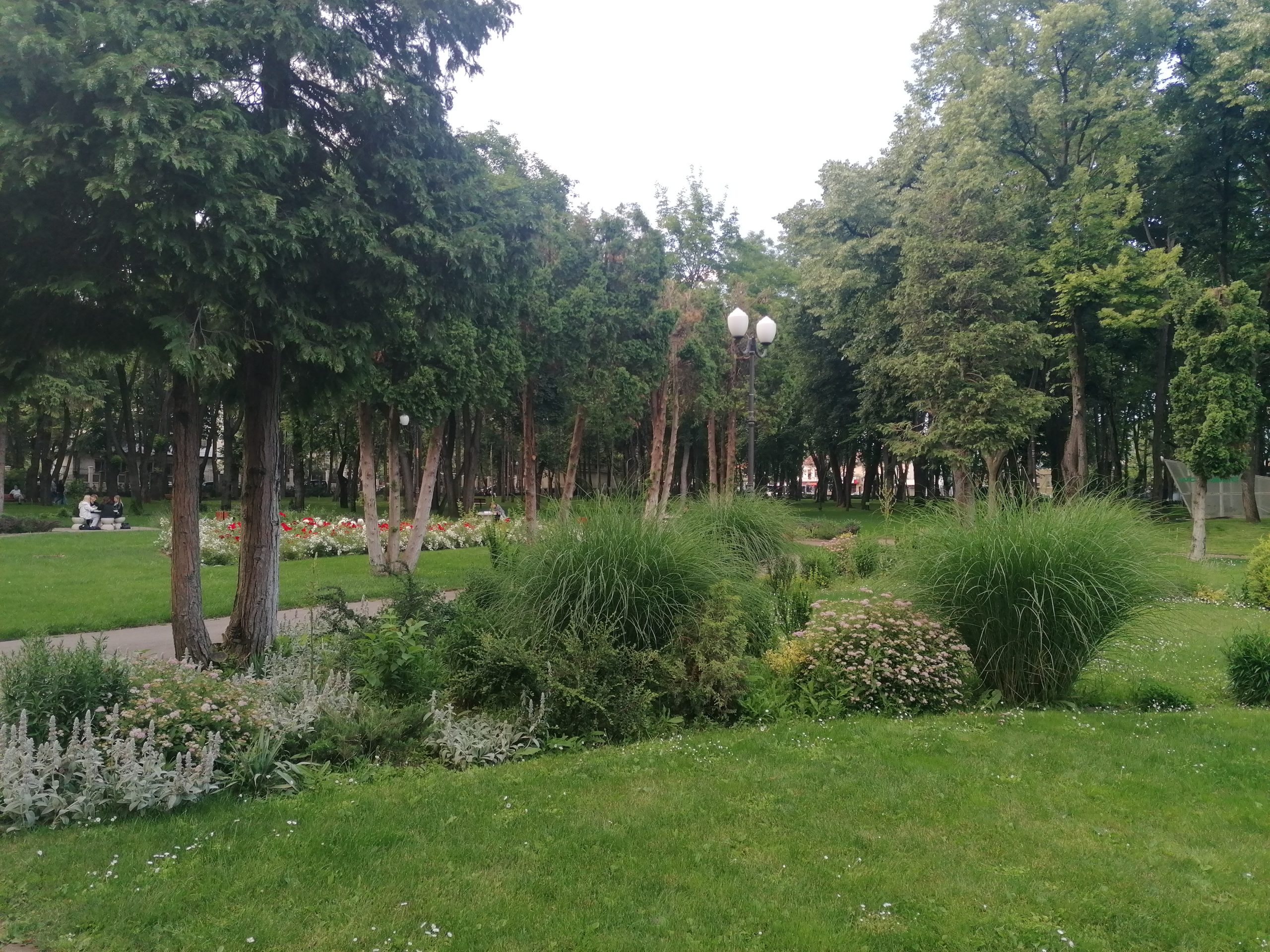 Parcul Central din Piatra-Neamţ va deveni o pădure urbană