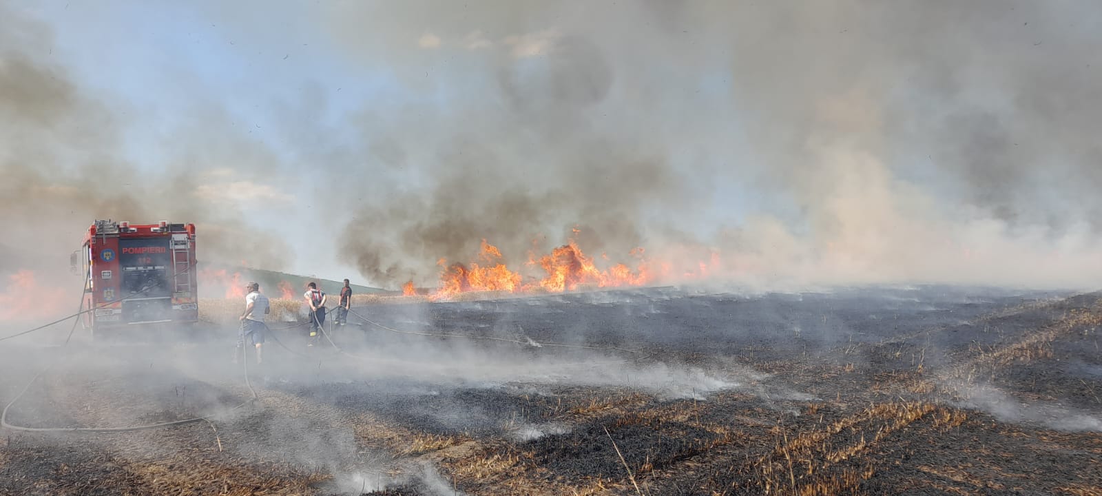 Bacău: Opt incendii de vegetaţie uscată, în ultimele 24 ore, au ars aproape 40 de hectare