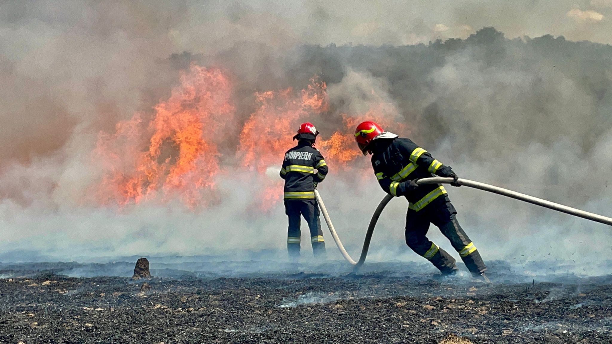 Pompierii atrag atenţia asupra pericolului pe care îl presupune incendierea vegetaţiei uscate