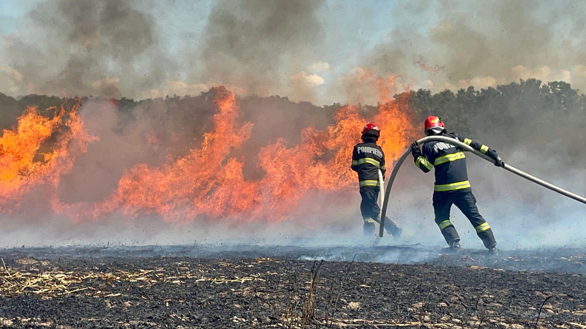 Suceava: Aproape 400 de metri pătraţi de pădure în localitatea Dârmoxa, afectaţi de un incendiu