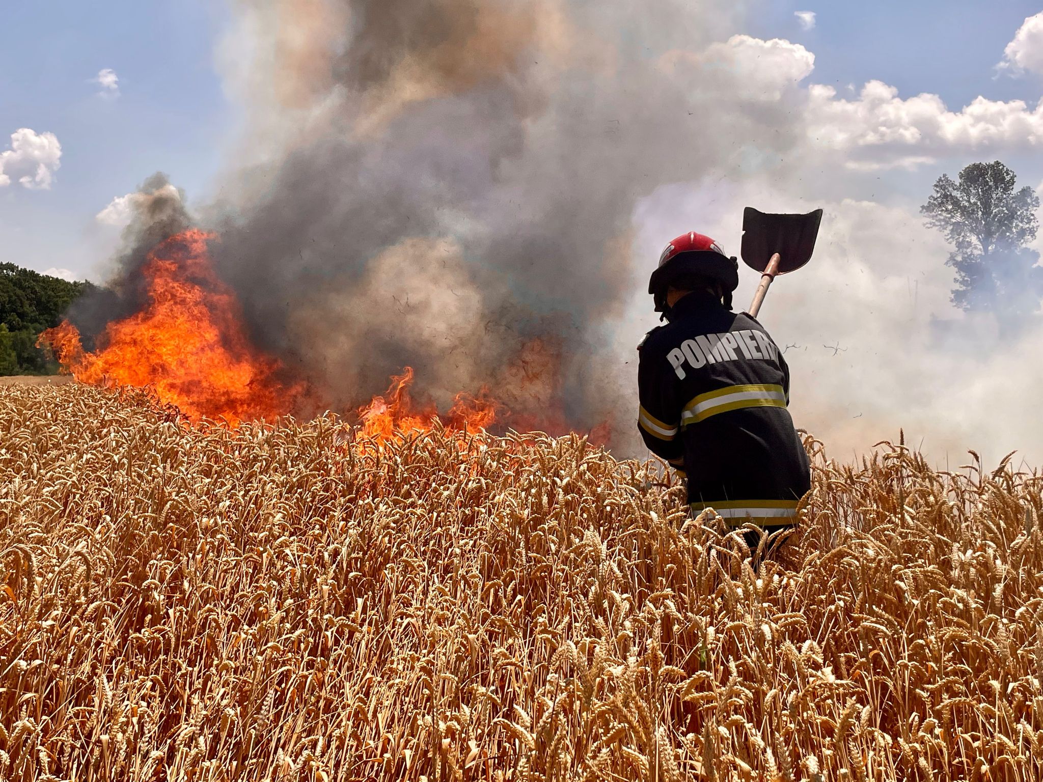 Vrancea: Bărbat amendat după ce a dat foc vegetaţiei uscate şi a provocat un incendiu, la Dumitreşti