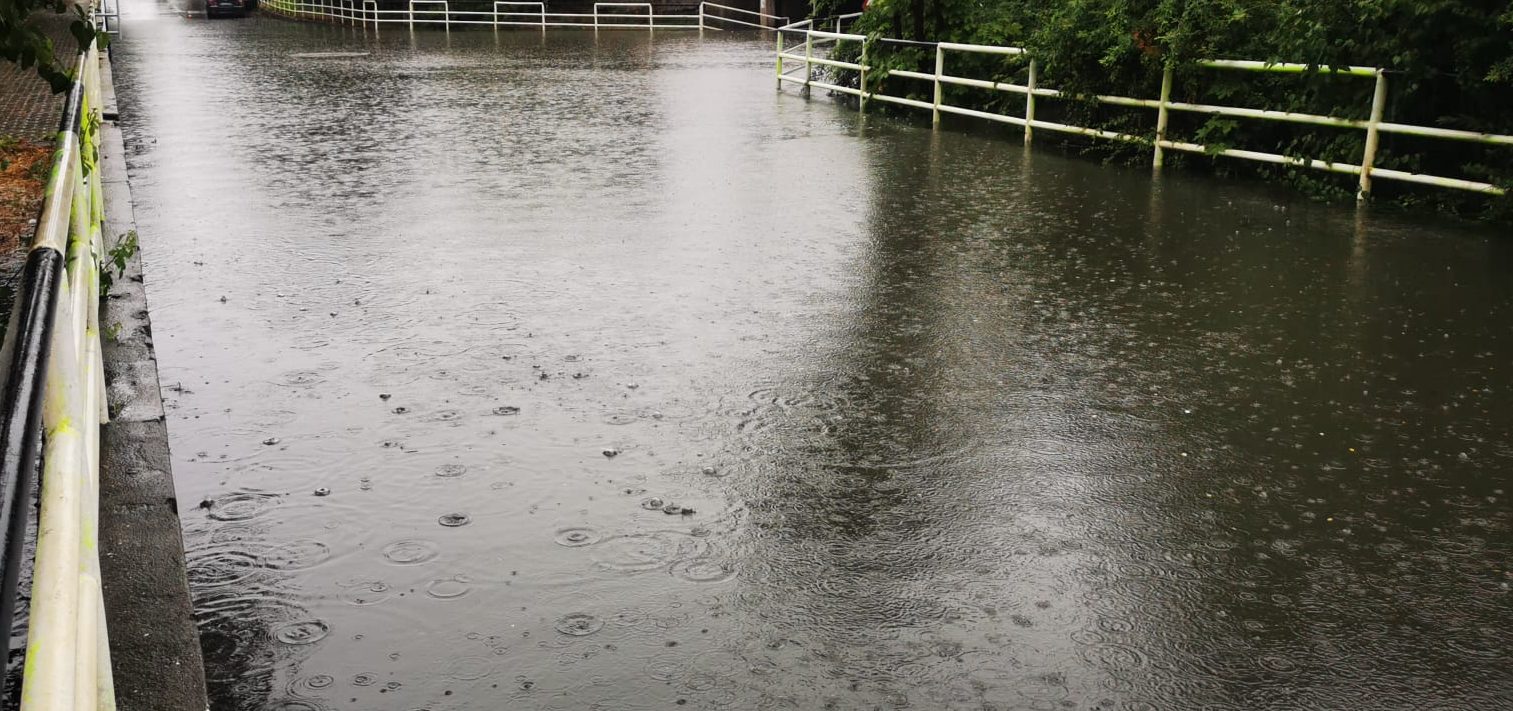 Suceava: Arbori doborâți de vânt, curți inundate, acoperișuri luate de vânt pe fondul precipitațiilor abundente