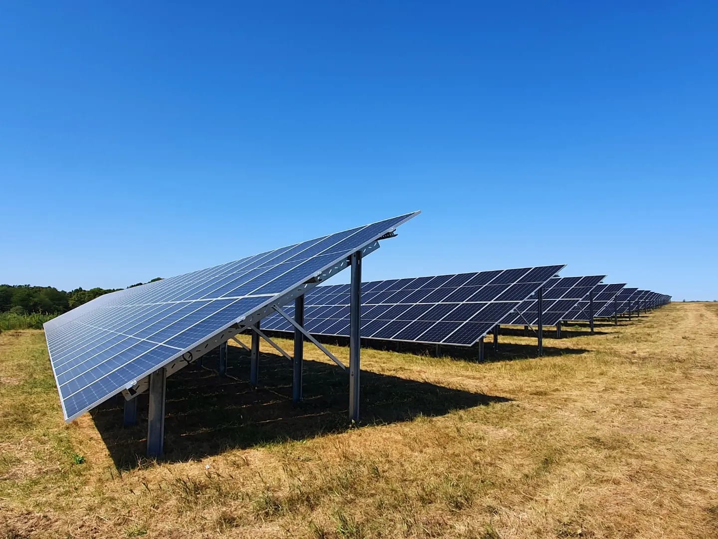 Fermierii vor putea accesa fonduri europene pentru instalarea de panouri fotovoltaice