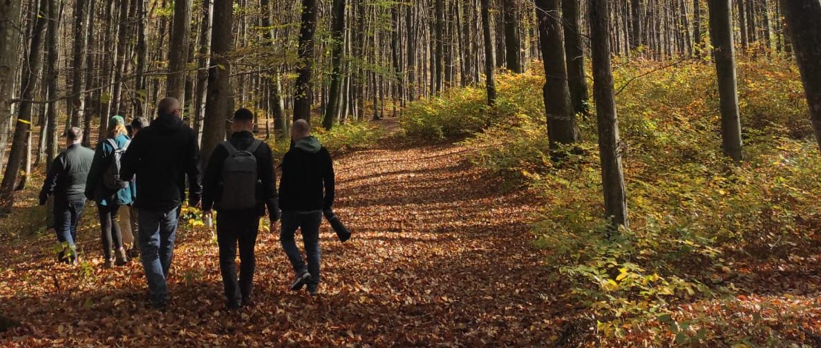 A fost inaugurat primul traseu amenajat de promenadă prin pădure în județul Iași