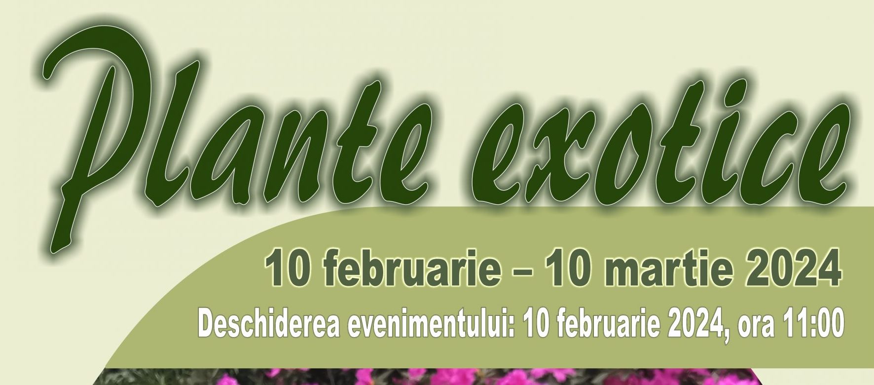 Expoziție de plante exotice la Grădina Botanică din Iași