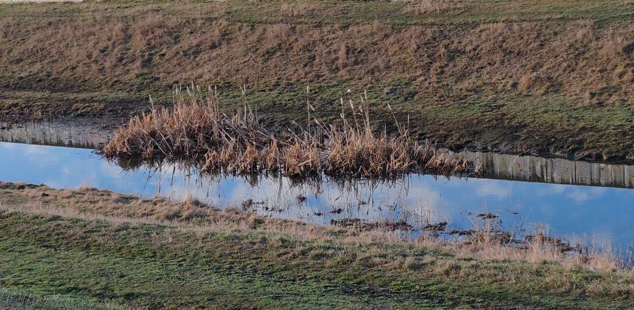 INHGA: Cod portocaliu de viituri pe râuri din şapte judeţe; Cod galben în 19 bazine hidrografice