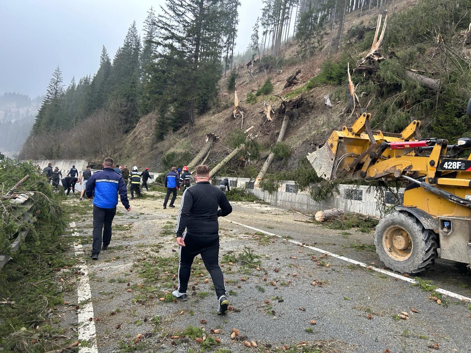 Suceava: Circulaţia pe DN 17, în localitatea Iacobeni, afectată de copacii rupţi de vânt