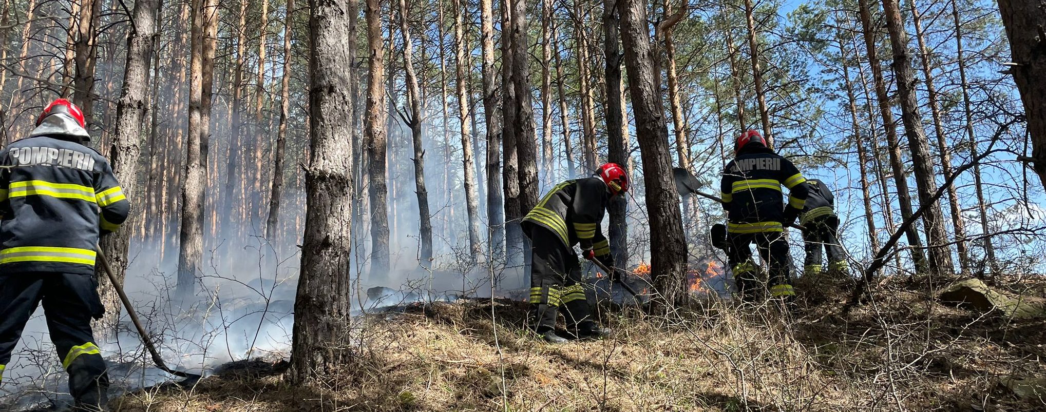 Bacău: Pompierii acţionează şi astăzi pentru stingerea incendiului din fondul forestier în zona Târgu Ocna