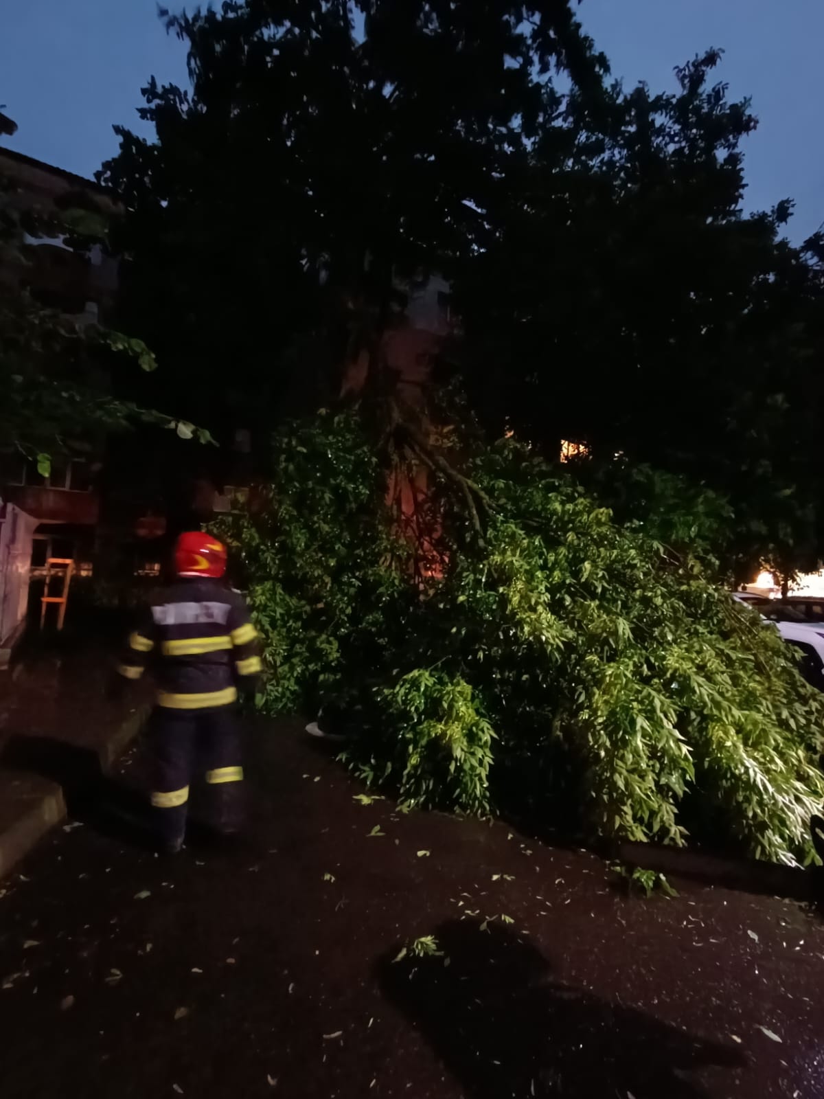 Vaslui: Intervenţii ale pompierilor pentru degajarea unor arbori căzuţi din cauza furtunii