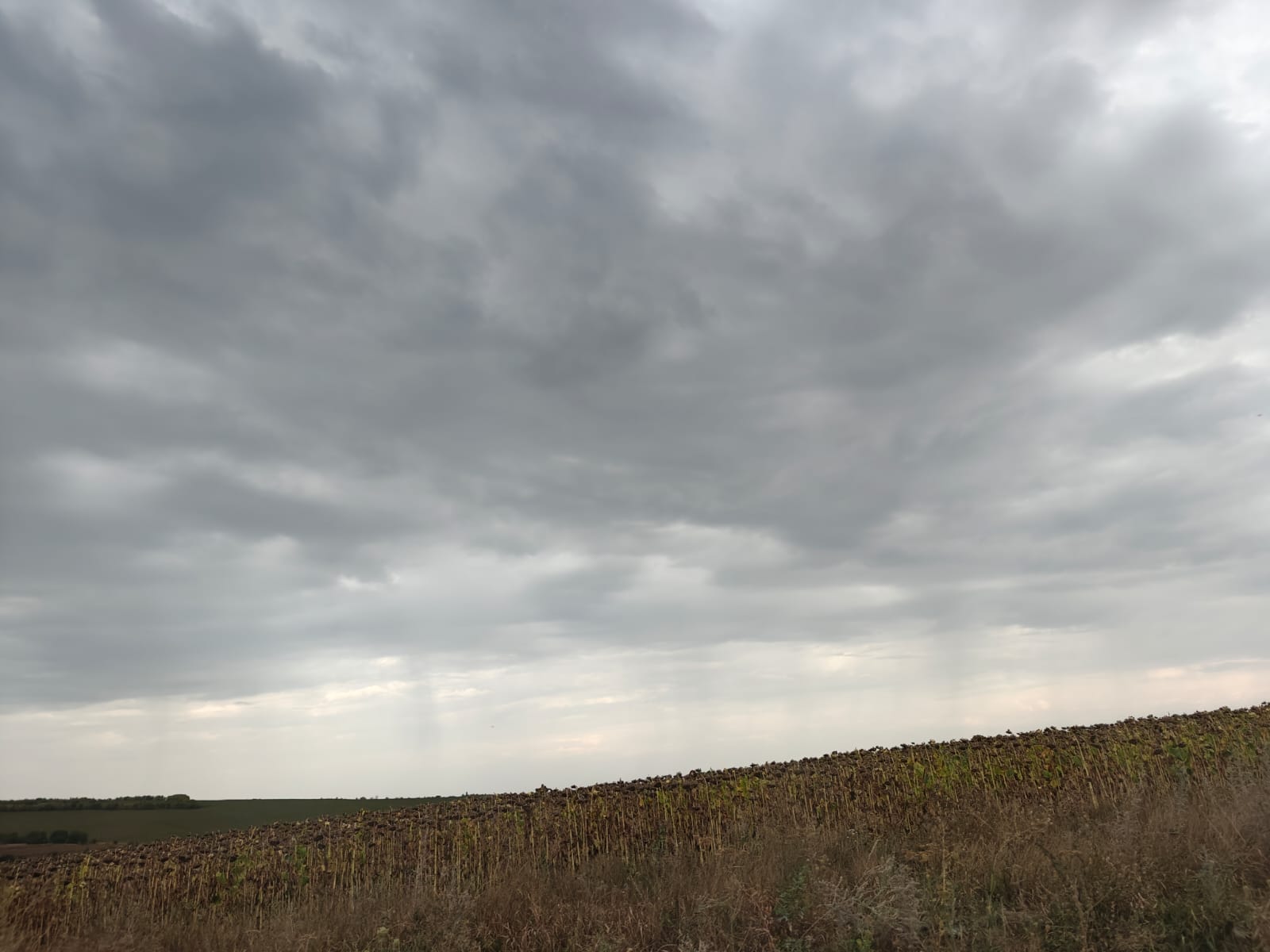 (UPDATE) Meteo: Atenționare cod galben de averse pentru județe din Moldova