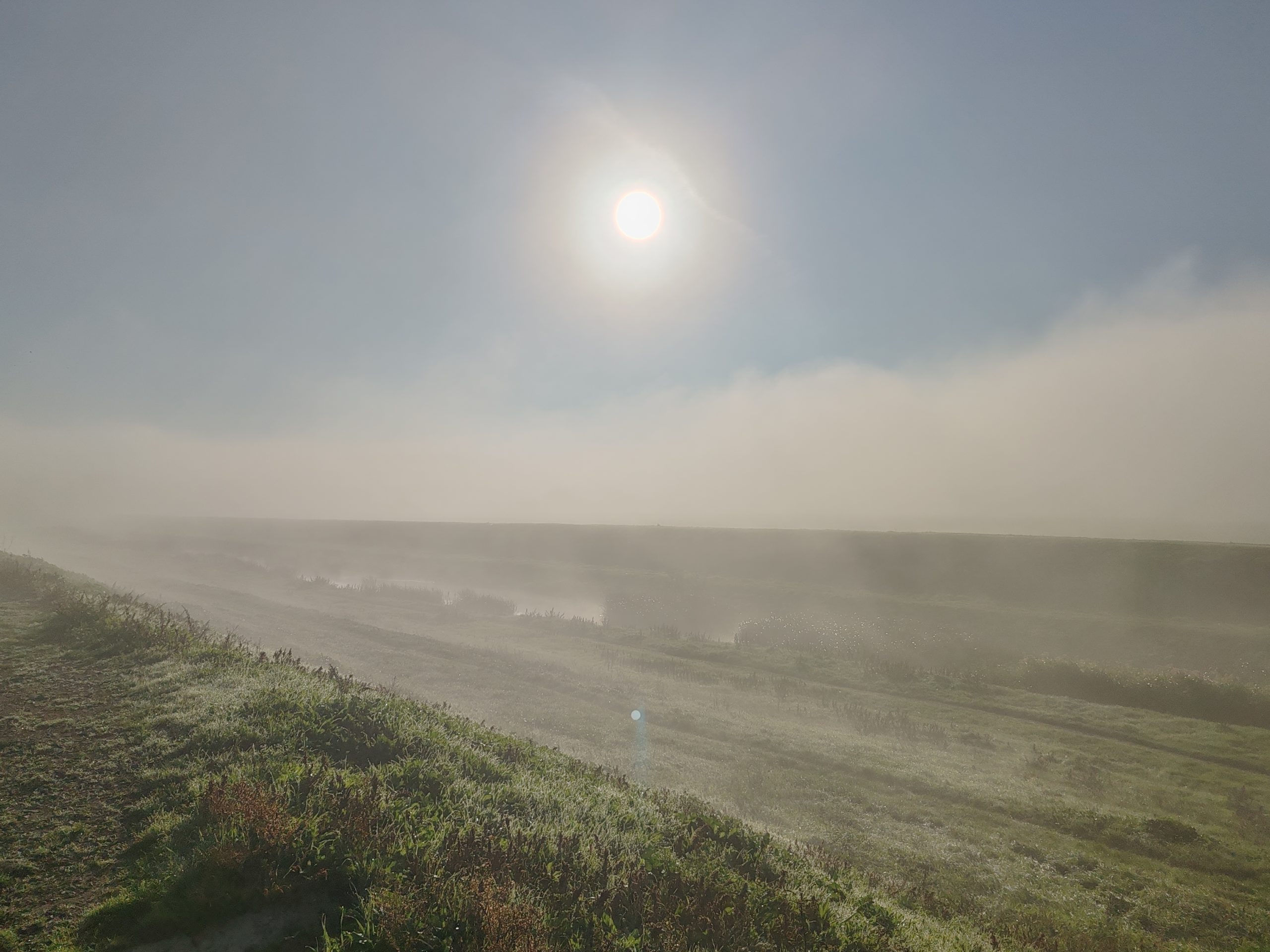 Meteo: Atenționare cod galben de ceață pentru județe din Moldova