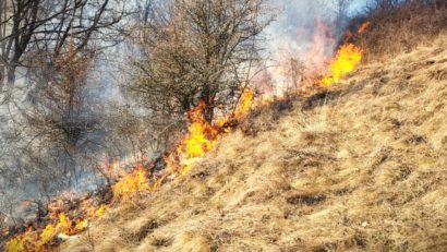 Peste patru sute de angajaţi ai Romsilva, implicaţi în acţiunile de stingere a incendiilor de pădure