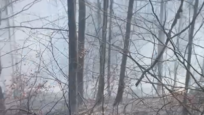 Suceava: Un incendiu a afectat şapte hectare de litieră la Văleni-Stânişoara şi există risc de extindere la întregul fond forestier