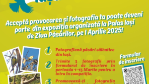 „Observă păsările Iașului”, provocarea de mărțișor a echipei SOR Iași. Profesorul Corina Forăscu s-a auzit în matinal cu Adina Șuhan