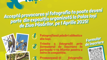 „Observă păsările Iașului”, provocarea de mărțișor a echipei SOR Iași. Profesorul Corina Forăscu s-a auzit în matinal cu Adina Șuhan